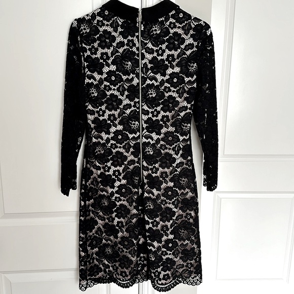 Ted Baker London Ameera Lace Dress - Excellent Condition! - Picture 8 of 15